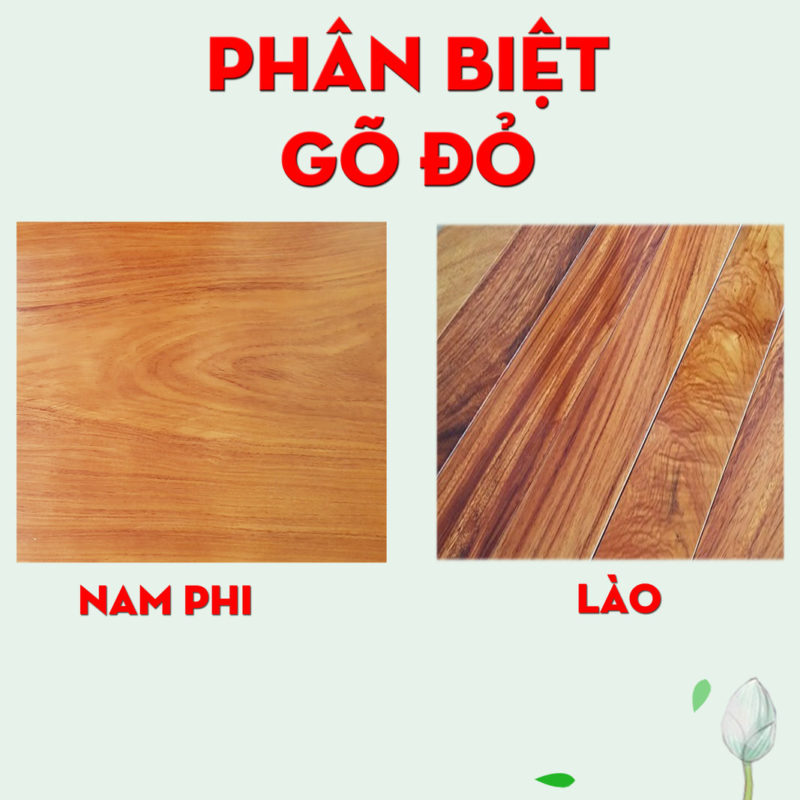 Phân biệt gỗ gõ đỏ