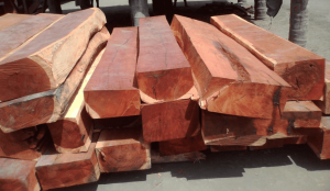 Gỗ hương là gì