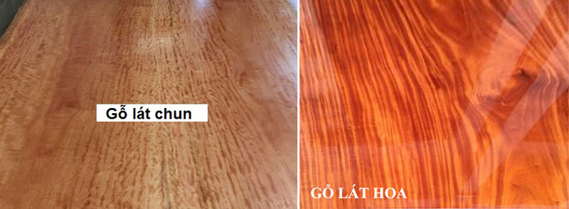 so sánh gỗ lát