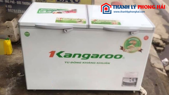 Tủ đông thương hiệu cao cấp