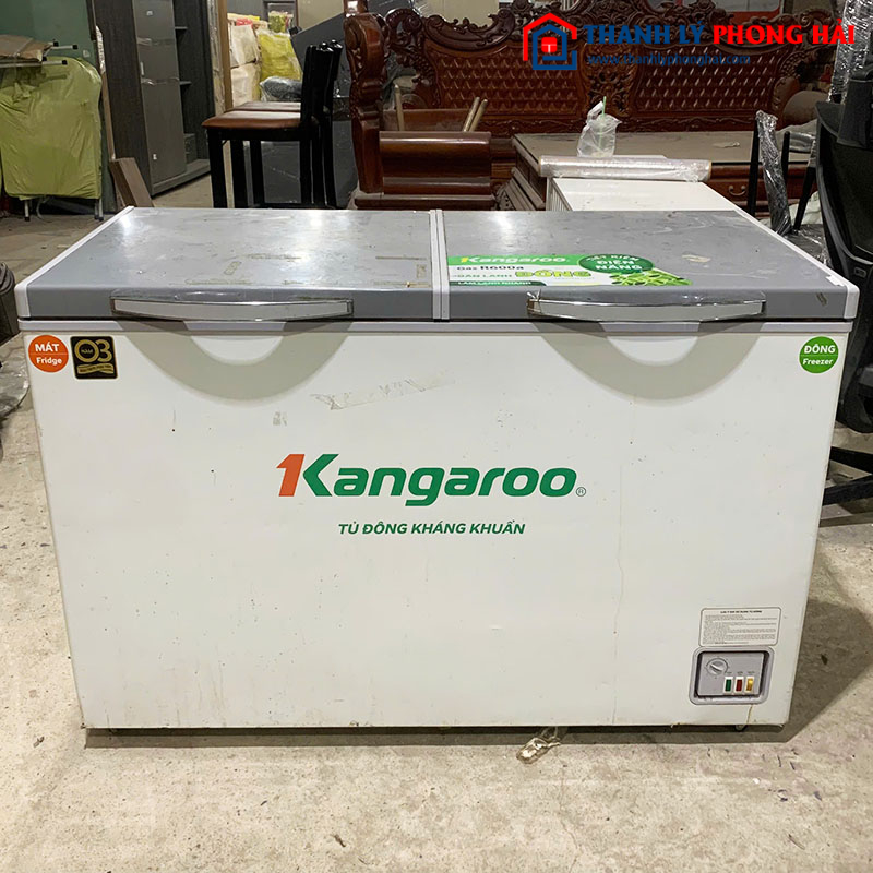 Tủ Đông Kangaroo 2 Cánh Cũ