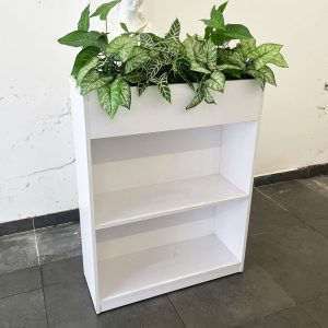 Kệ Trang Trí Gỗ Trắng Kèm Chậu Cây Cảnh Cũ