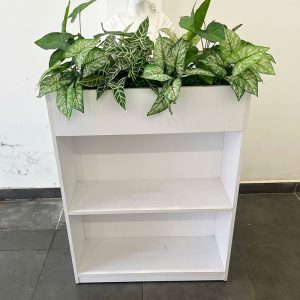 Kệ Trang Trí Gỗ Trắng Kèm Chậu Cây Cảnh Cũ