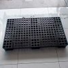 Pallet Nhựa Cũ