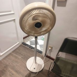 Quạt Đứng Đế Tròn Cao Cấp Cũ