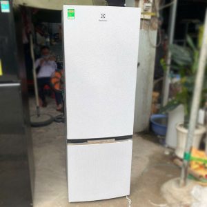 Tủ Lạnh Electrolux Cũ 2 Cánh