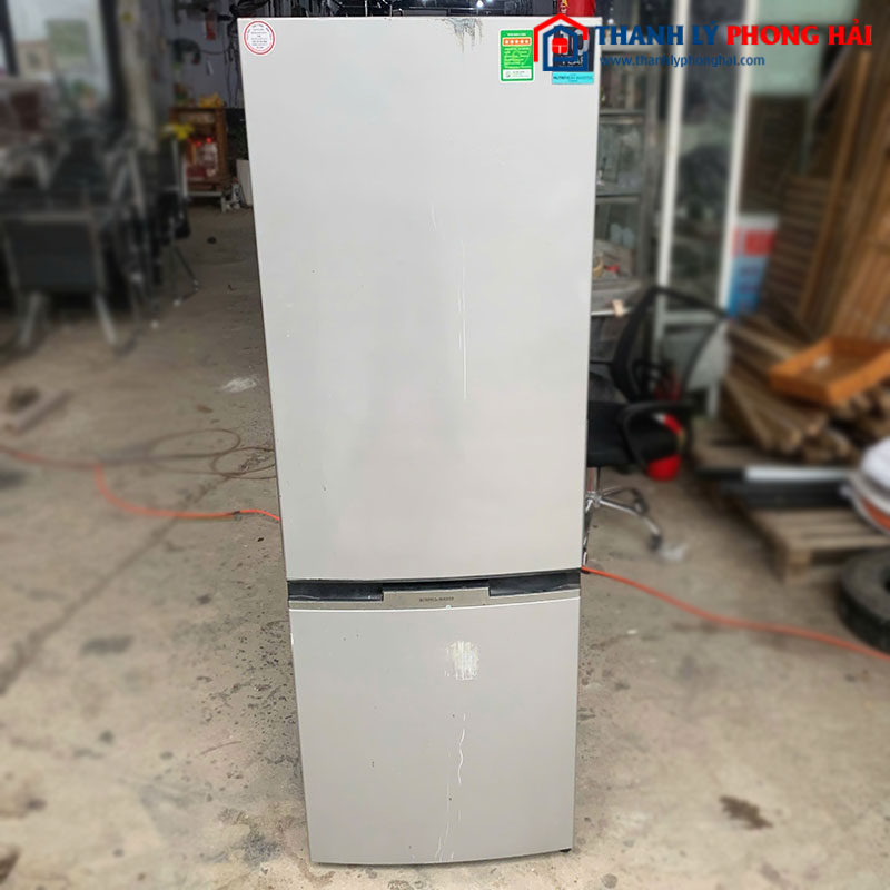 Tủ Lạnh Electrolux 2 Cánh Inverter Cũ